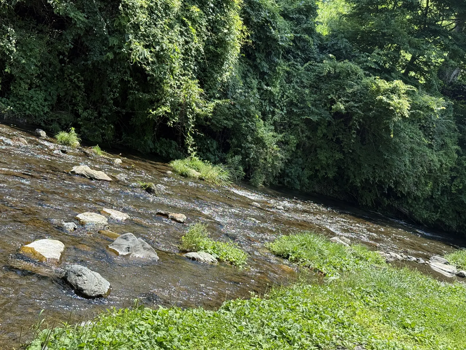 荒川の流れ